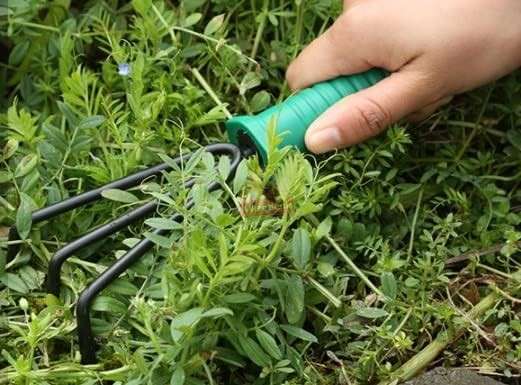 5 Piece Stainless Steel Garden Tool Set in a Secure and Durable Carry Case