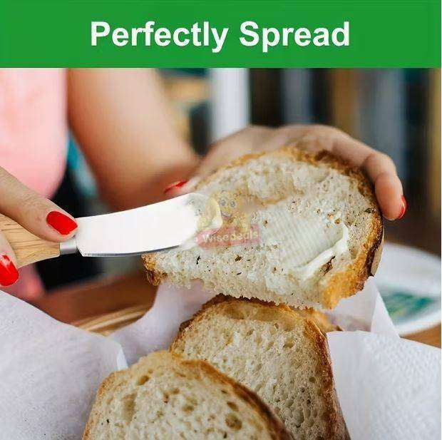 5 Piece Stainless Steel Cheese Set