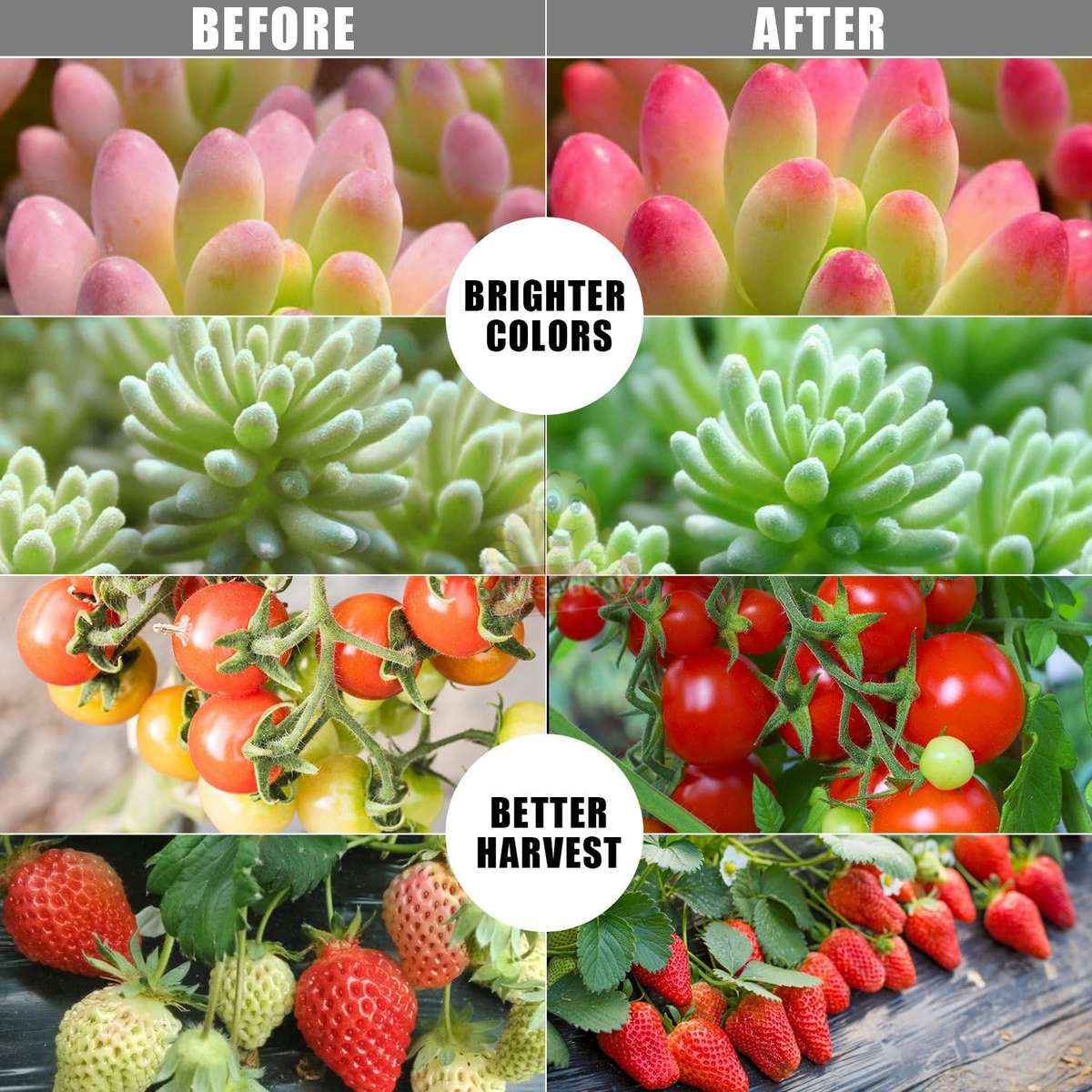 3 Adjustable Light Head LED Grow Light system