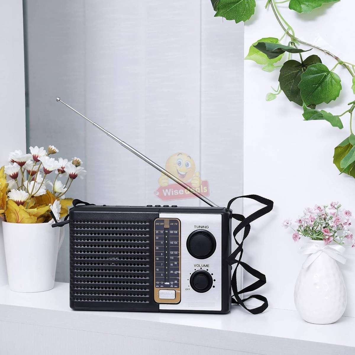 FM / AM / SW1  2 5 Band Radio