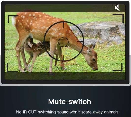 4K 20MP Dual-Lens Wide Angle Waterproof Night Vision Hunting Camera