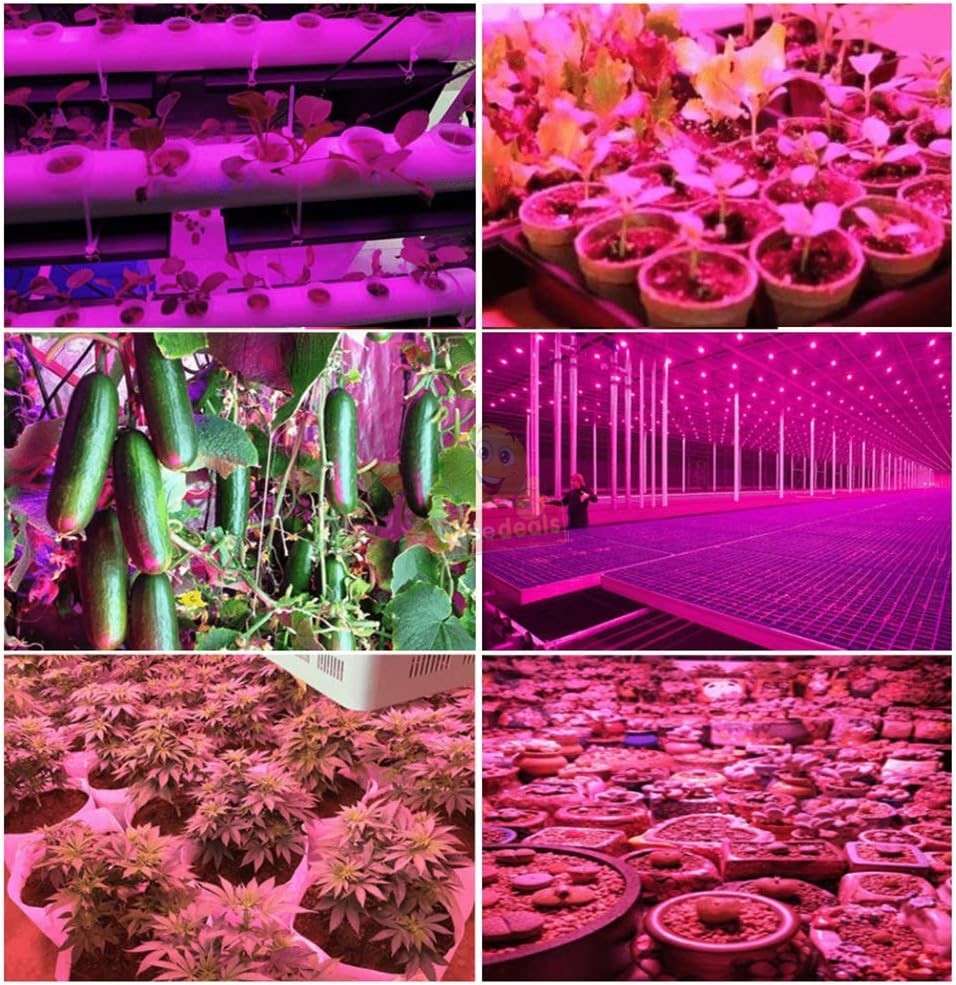 COB Full Spectrum Plant LED Grow Light