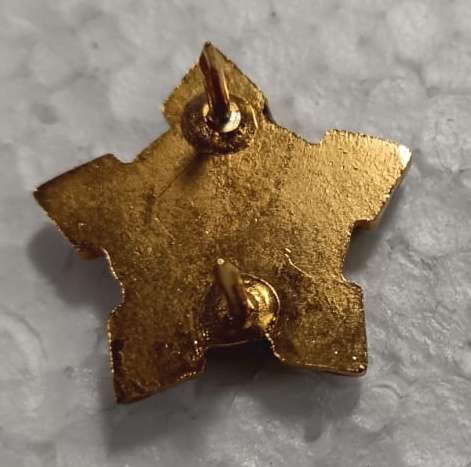 SADF - Medical Services Ceremonial Collar Badge - Worn by RSM