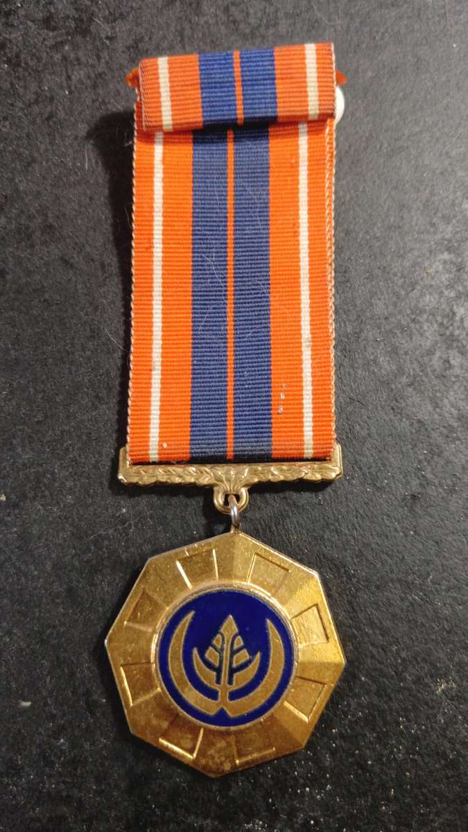 SADF Pro Patria Medal 62931 ` Early Swivel Suspender and Enamel Face