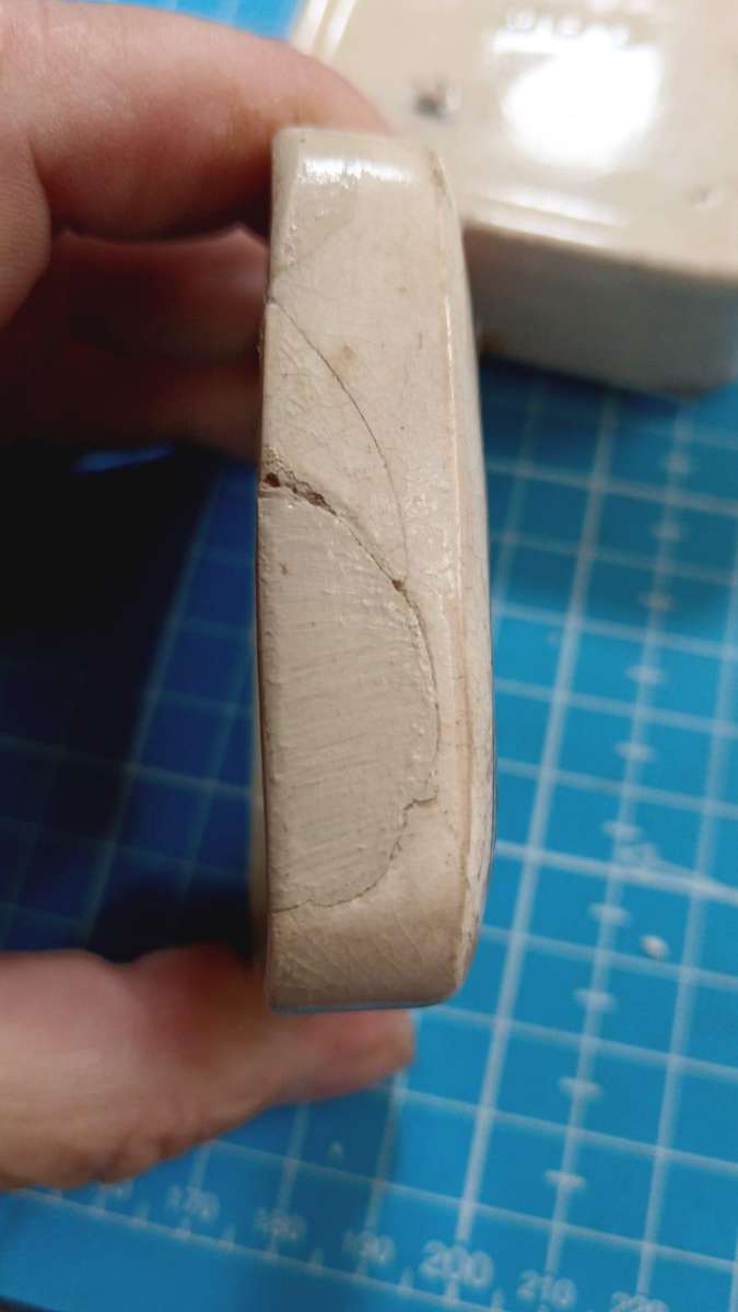 White rose paste for teeth container