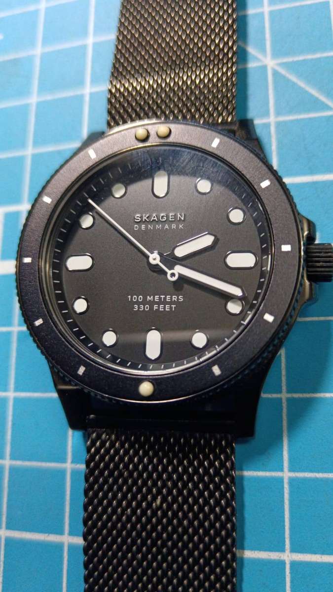 Skagen watch SKW2917