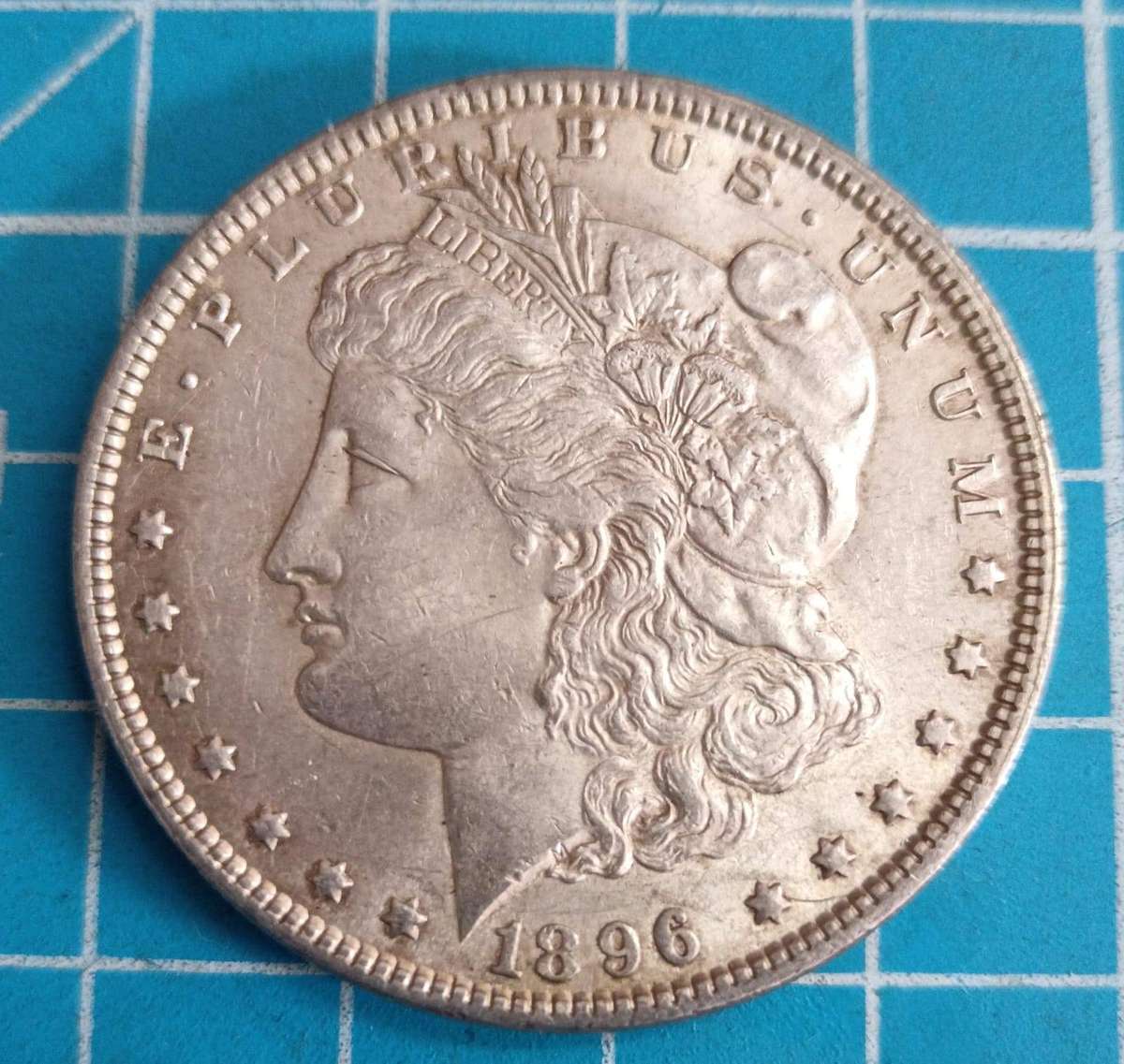 1896 Morgan Dollar