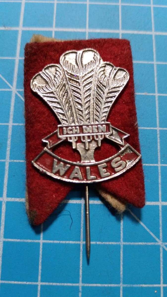 Wales rugby pin