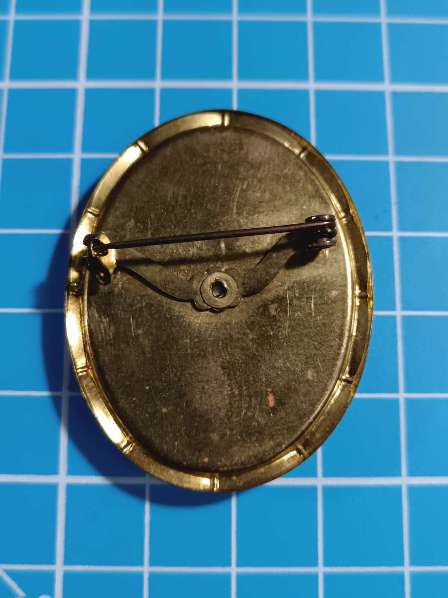 Costume Jewellery - brooch