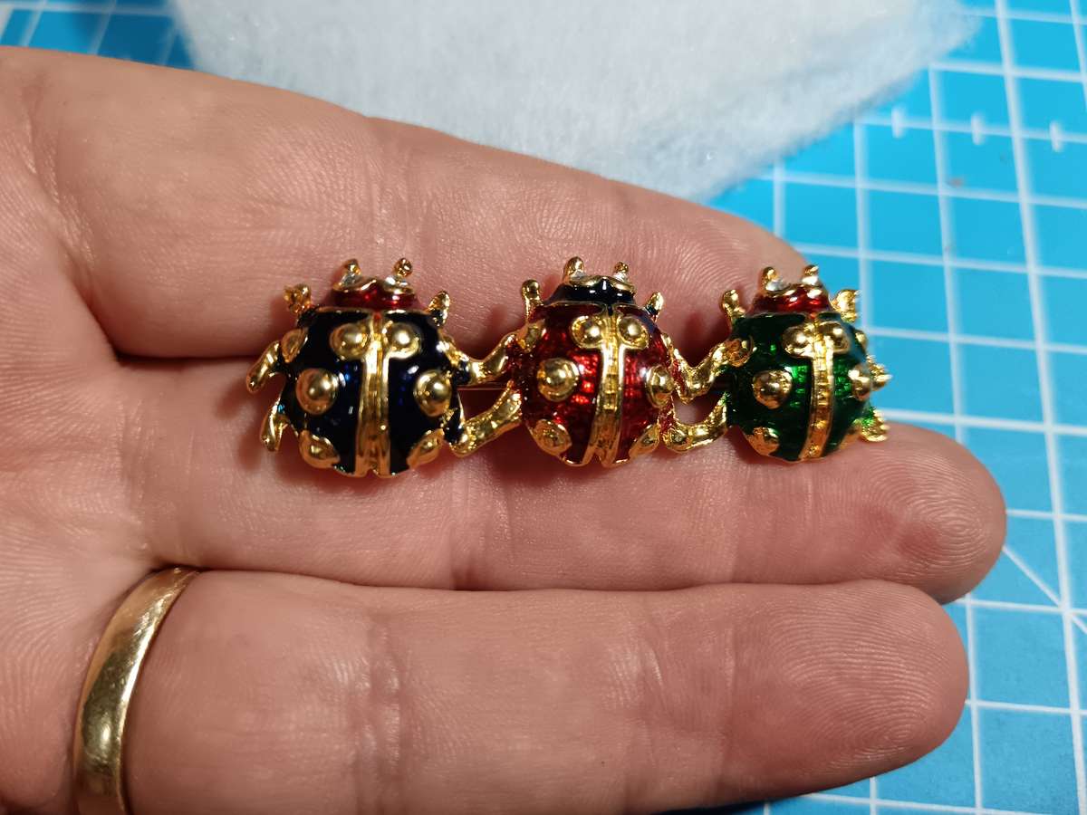 Costume Jewellery - Lady Bug Brooch