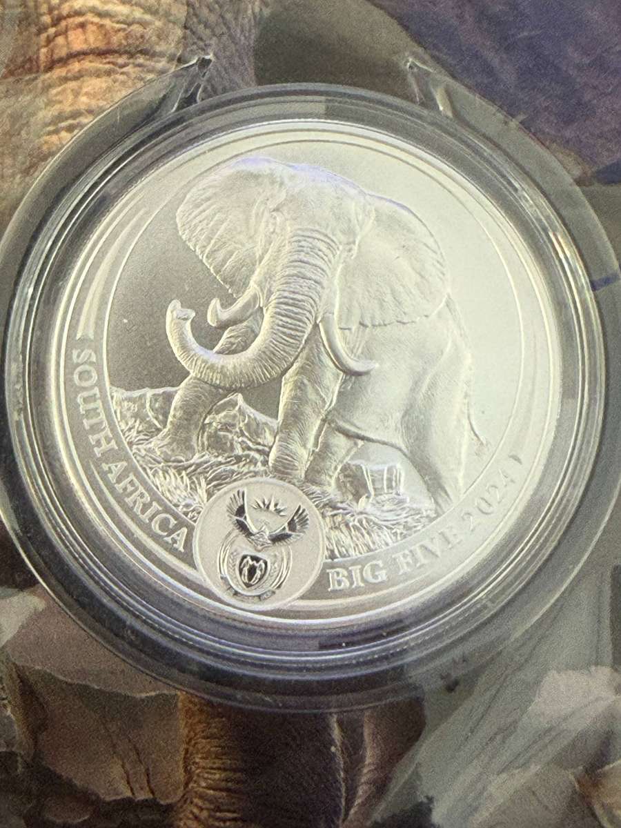 Big 5 Elephant 2024 1 oz silver