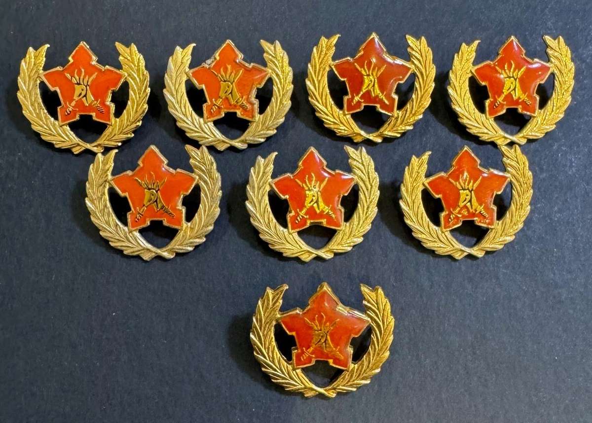 SADF - Army 5 Year Voluntary Service Breast Badge ( Bid Per Badge )