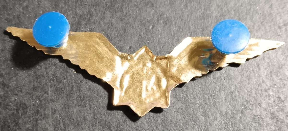 South African Special Task Force Wing