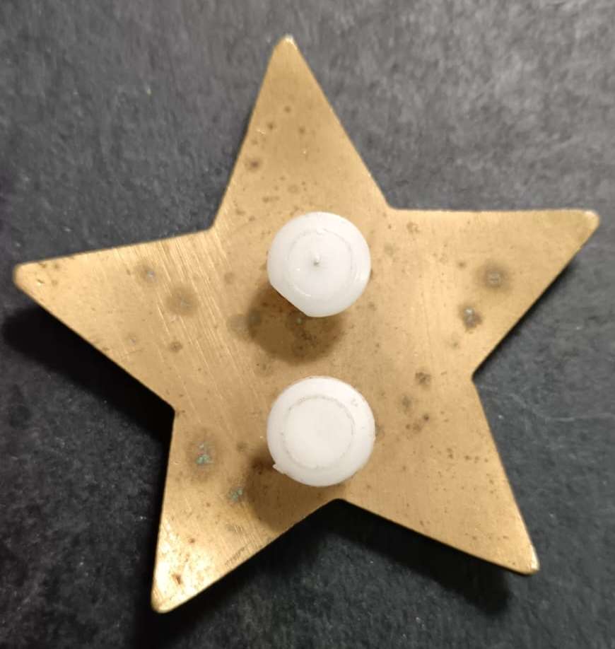 South African Traffic Police Cap Badge