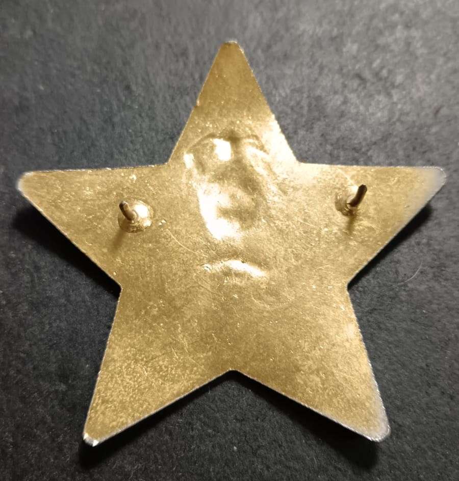 South African Traffic Police Cap Badge