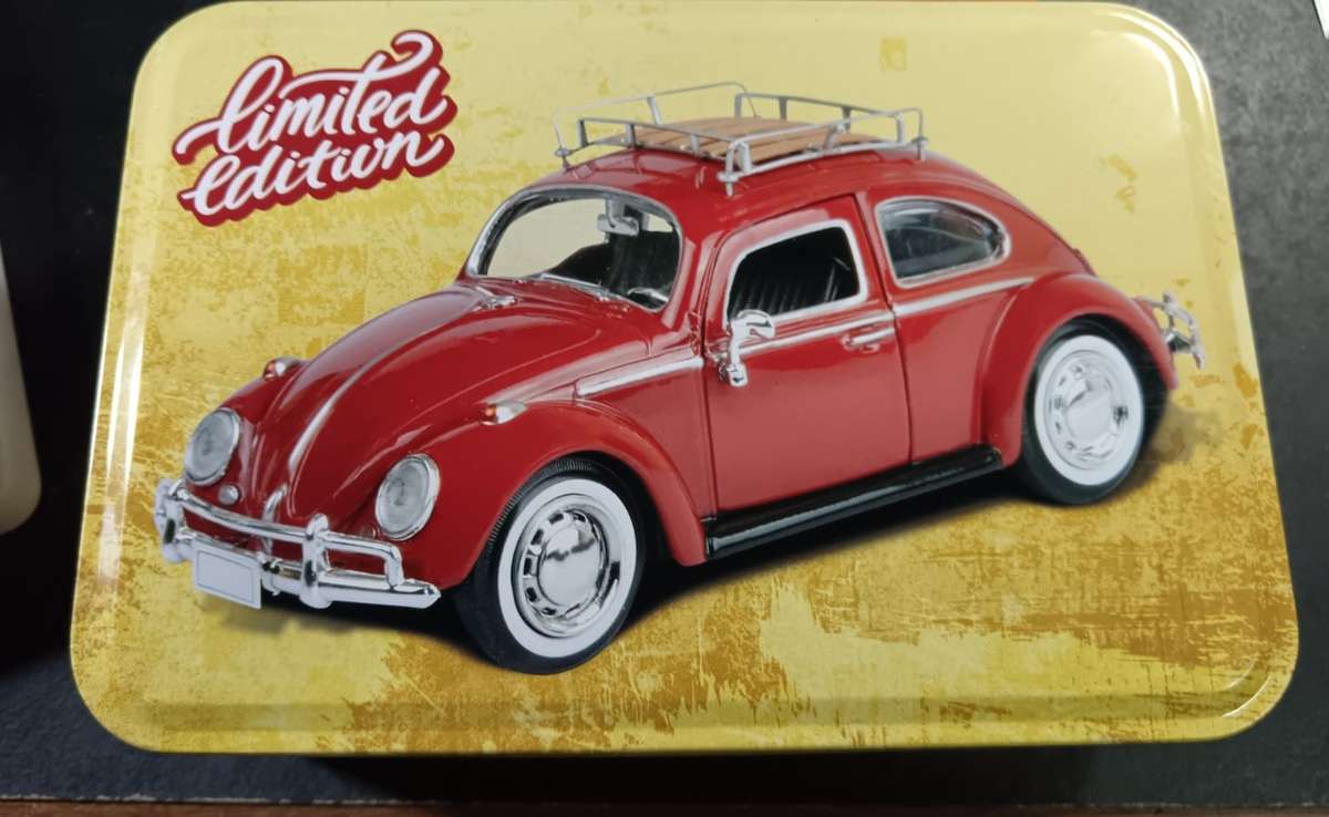 Beetle Collectors Tin