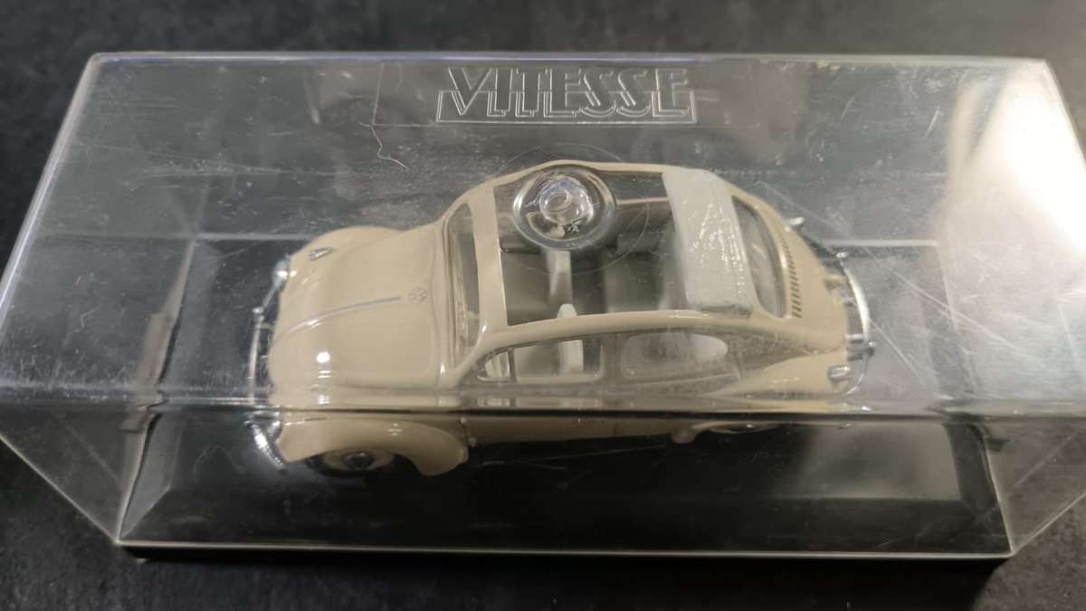 Beetle Model in Display Case