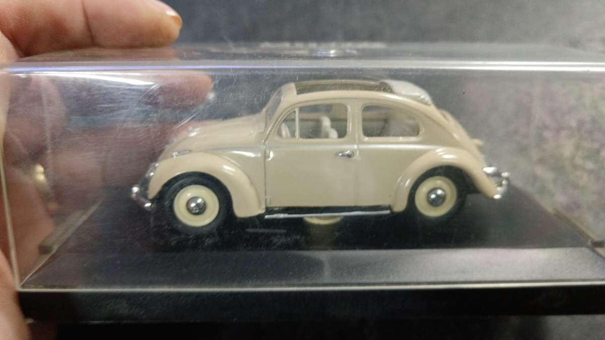 Beetle Model in Display Case
