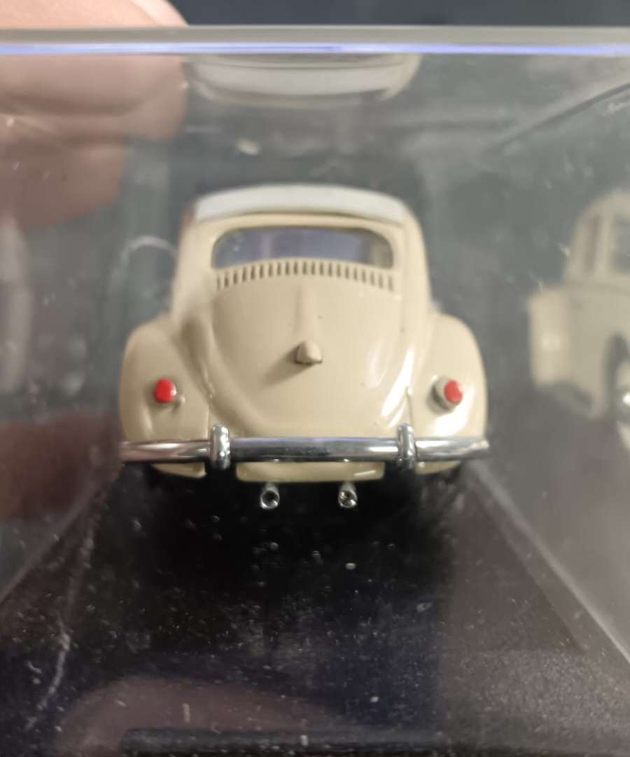 Beetle Model in Display Case