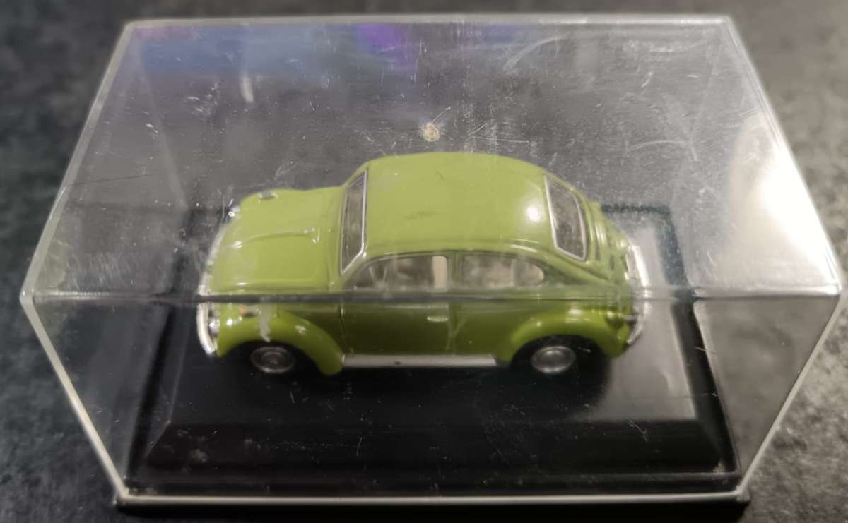 Beetle Model in Display Case