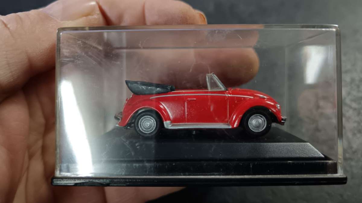 Beetle Model in Display Case