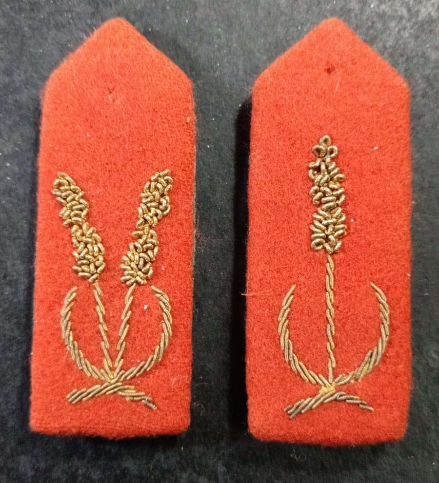 Homelands Officers Gorget Patches