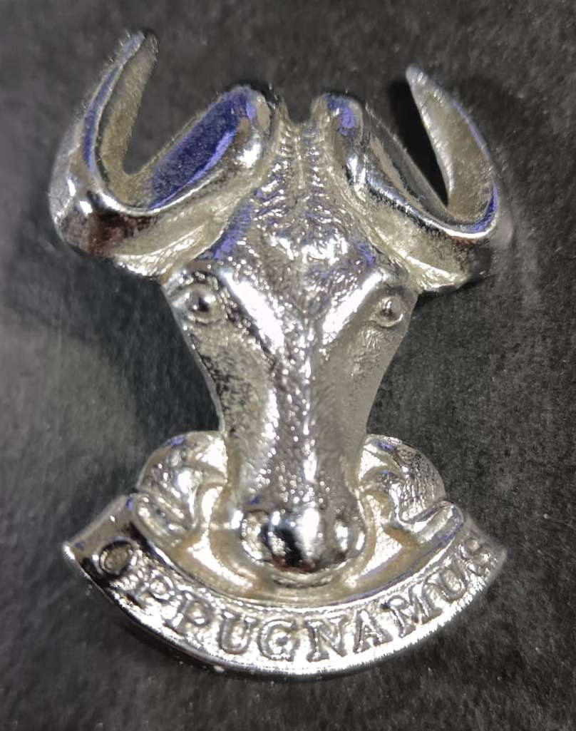 SADF - Regiment Port Natal Cap Badge