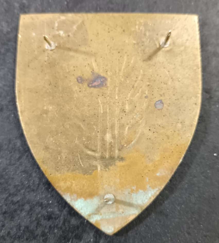 SADF - Intell School Shoulder Flash