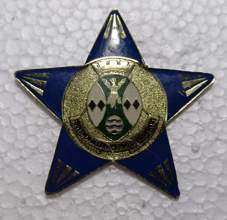 South African Traffic Police Cap Badge