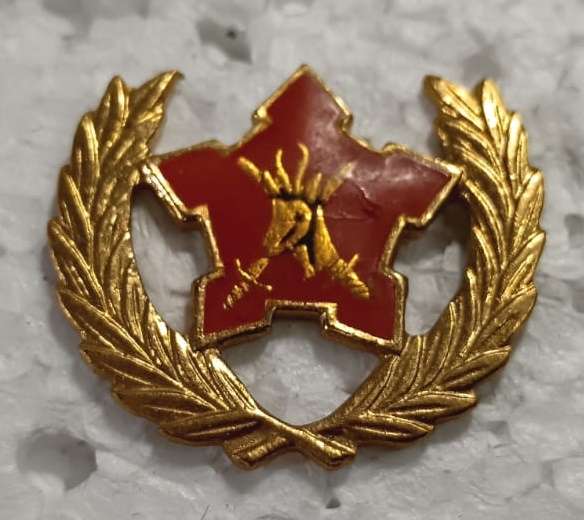 SADF - Army 5 Year Voluntary Service Breast Badge