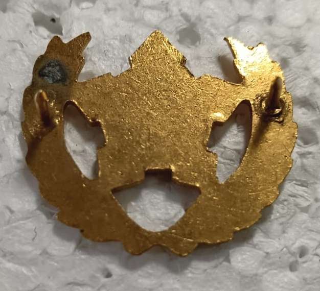 SADF - Army 5 Year Voluntary Service Breast Badge