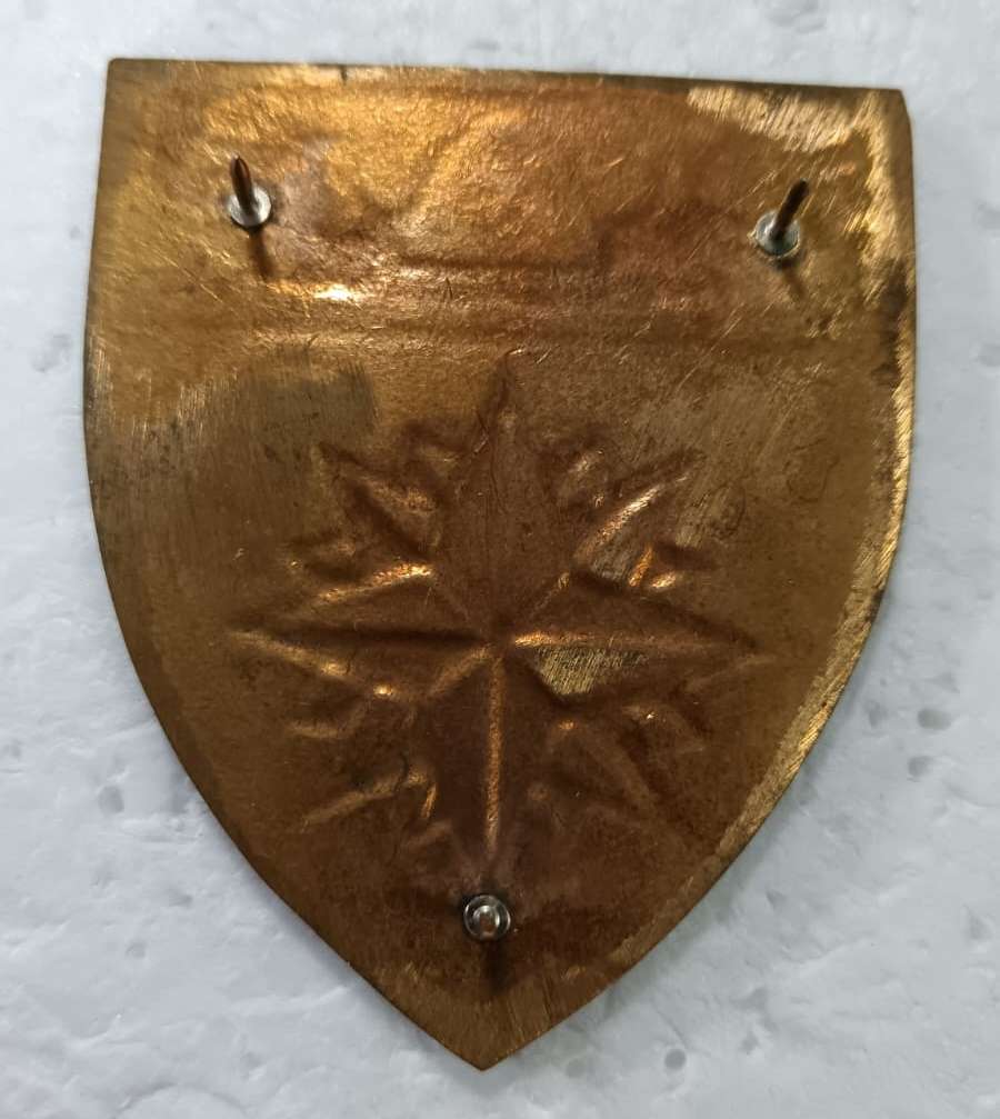 SADF - 4 Special Forces Regiment (Recce)Shoulder Flash