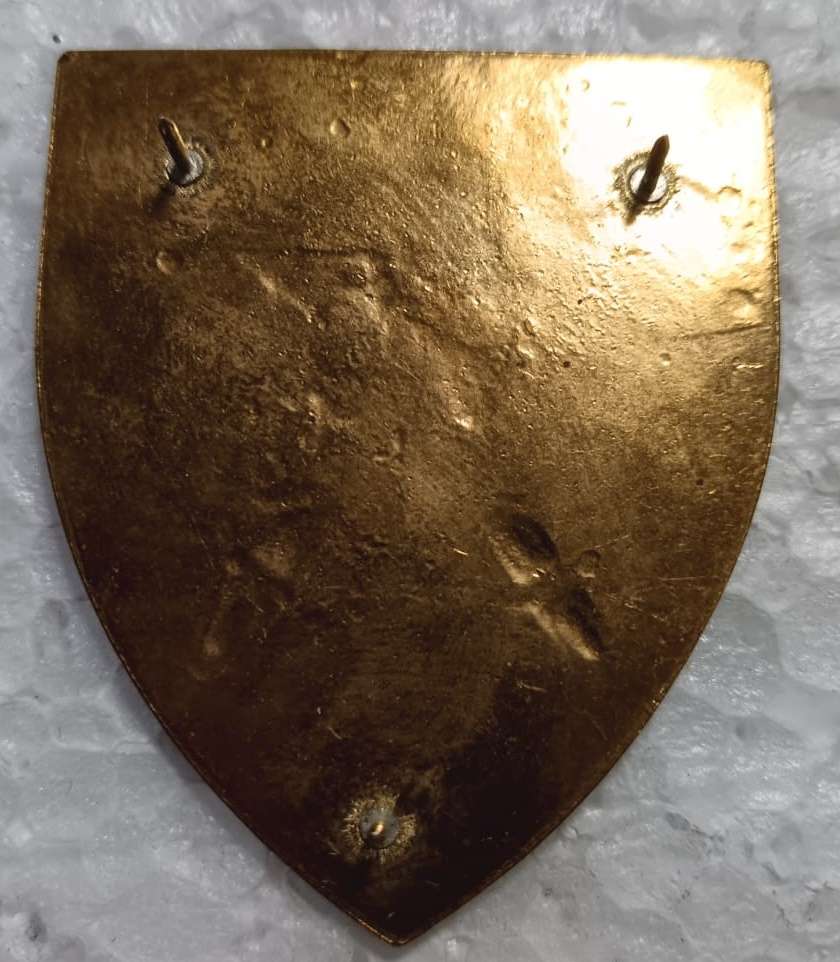 SADF - Chief of SADF Shoulder Flash