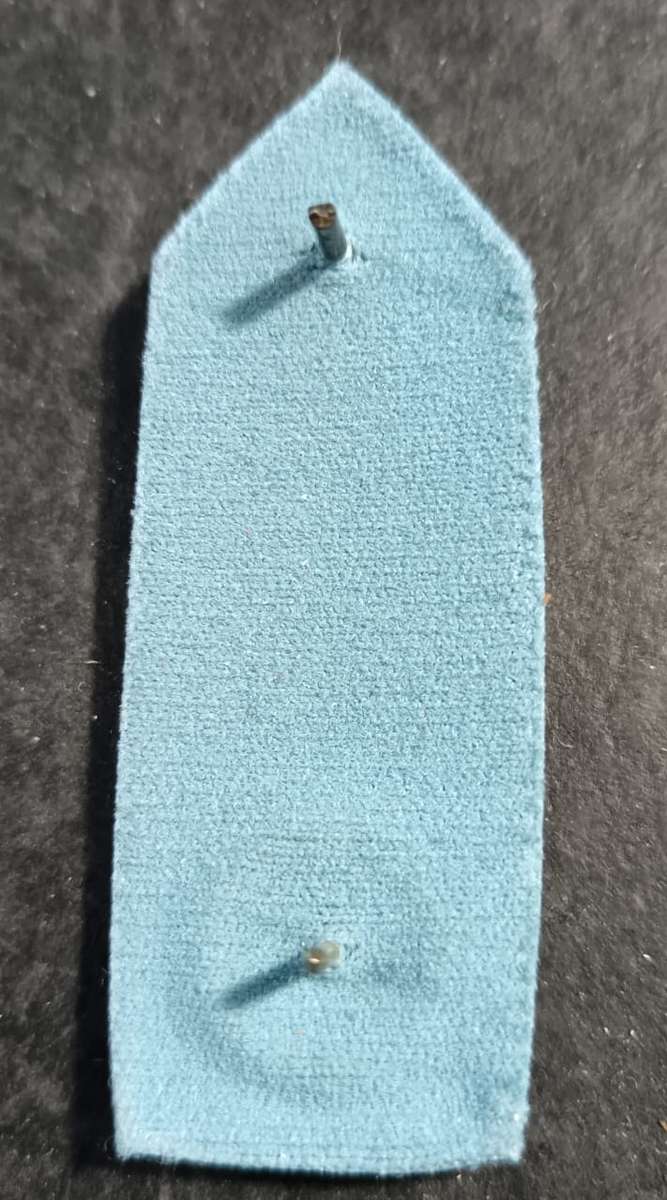 SADF - Air Force Officers Gorget