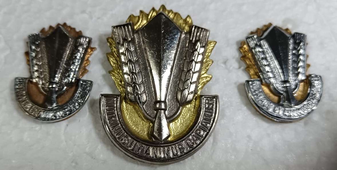 SADF - Catering Corps Cap and Collars