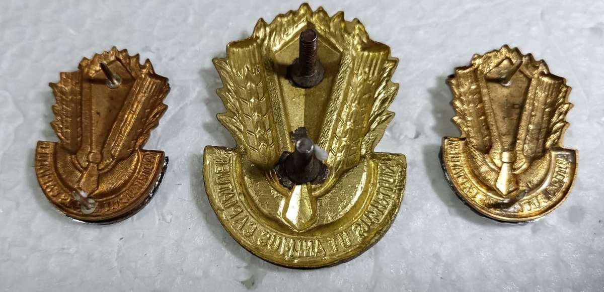 SADF - Catering Corps Cap and Collars