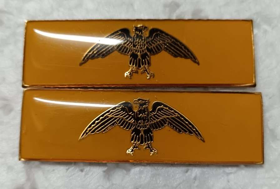 SADF - Gauteng Higher Formation Bars