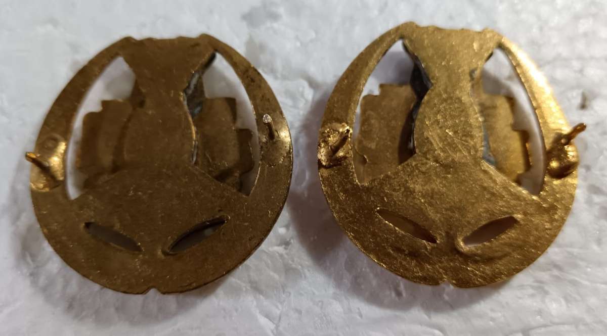 (Homelands) Warrant Officer Rank Pair