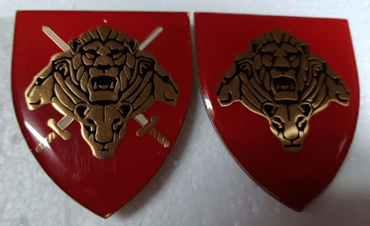 SA Army Pride of the Nation Shoulder Flash Pair