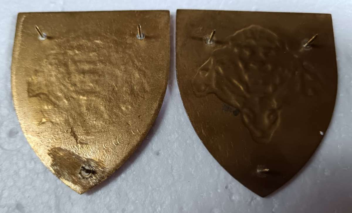 SA Army Pride of the Nation Shoulder Flash Pair