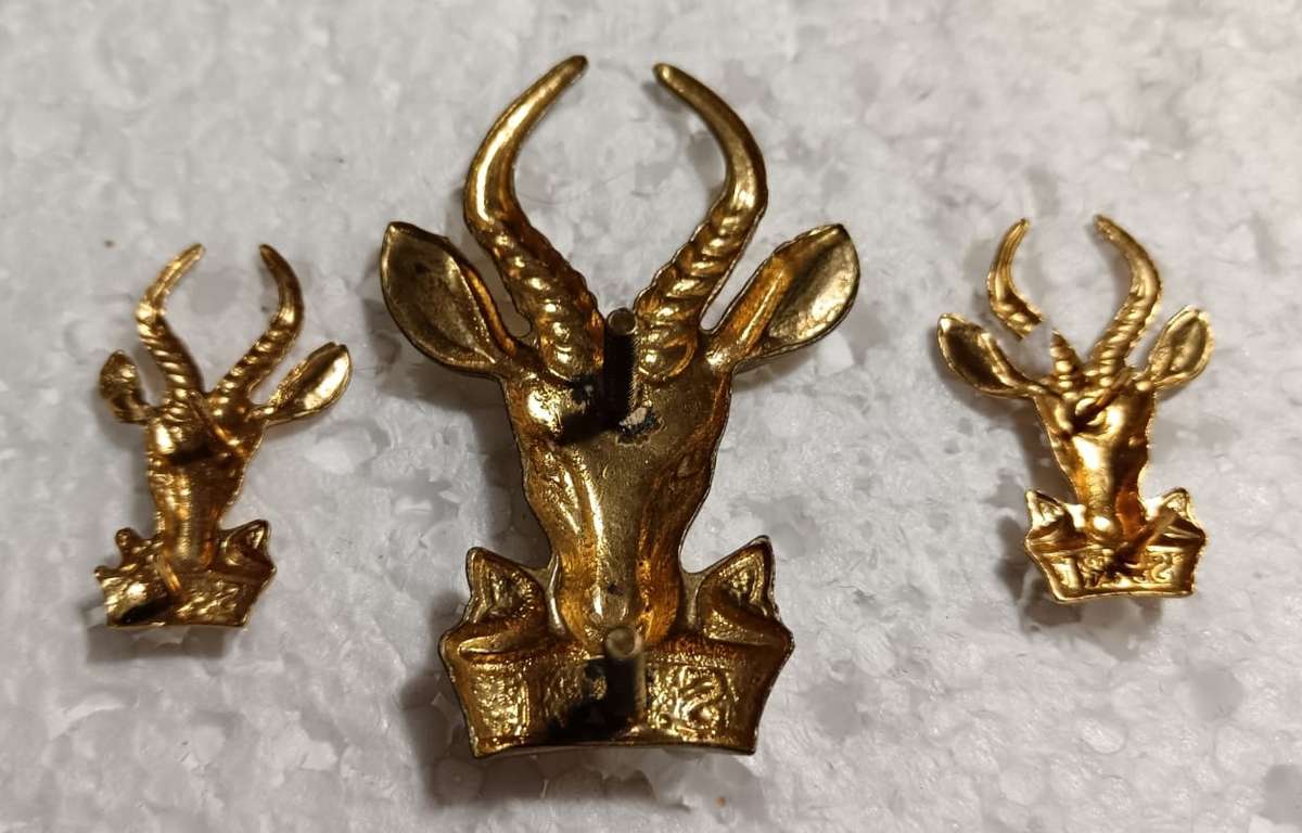 SADF - Infantry Cap and Collars