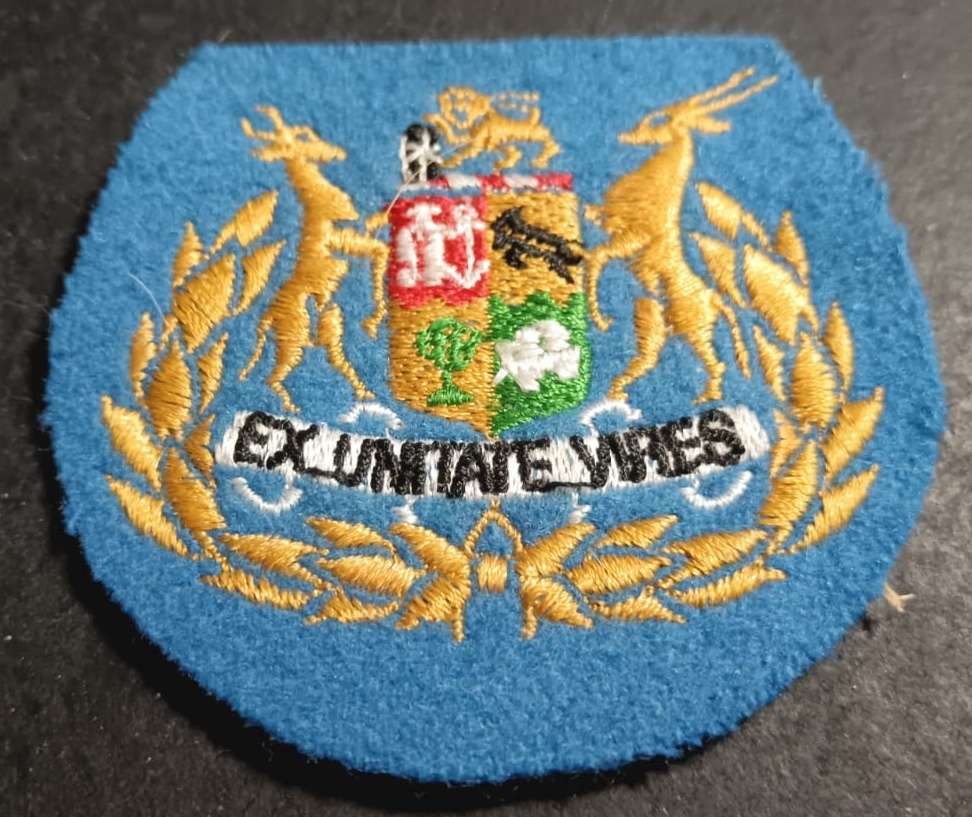 SADF - Air Force Warrant Officer Rank