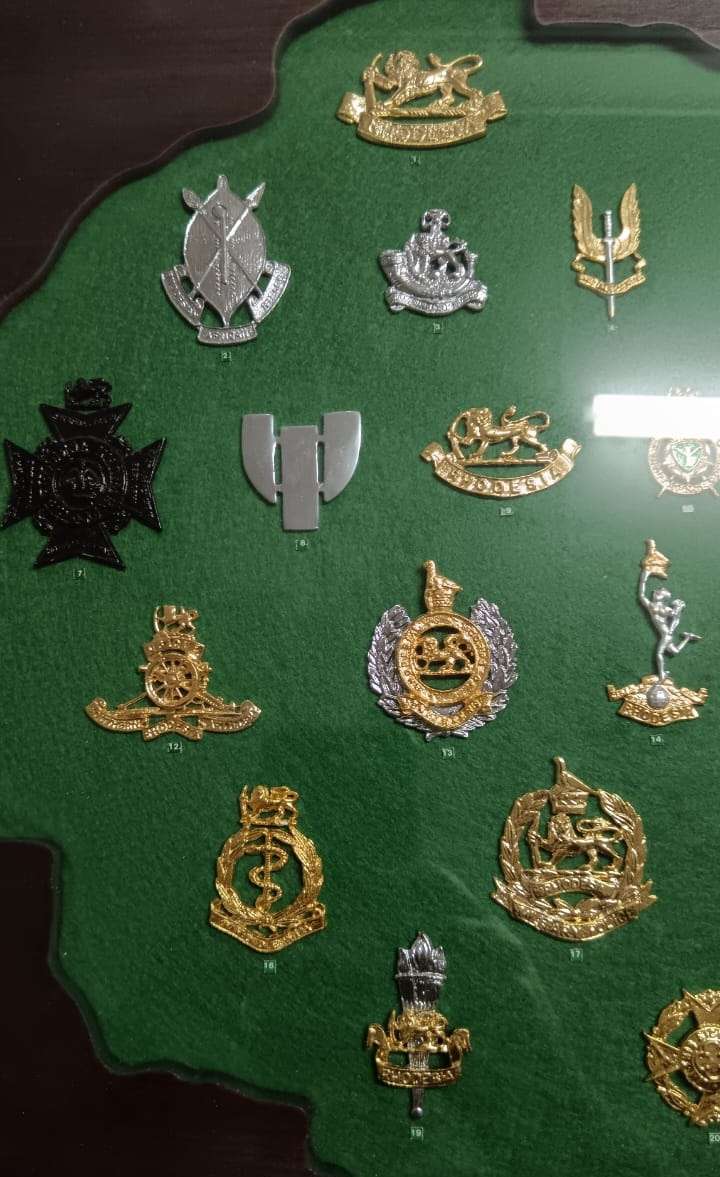 Rhodesian Security Forces Cap Badge Collection in Display Case - Numbered Set