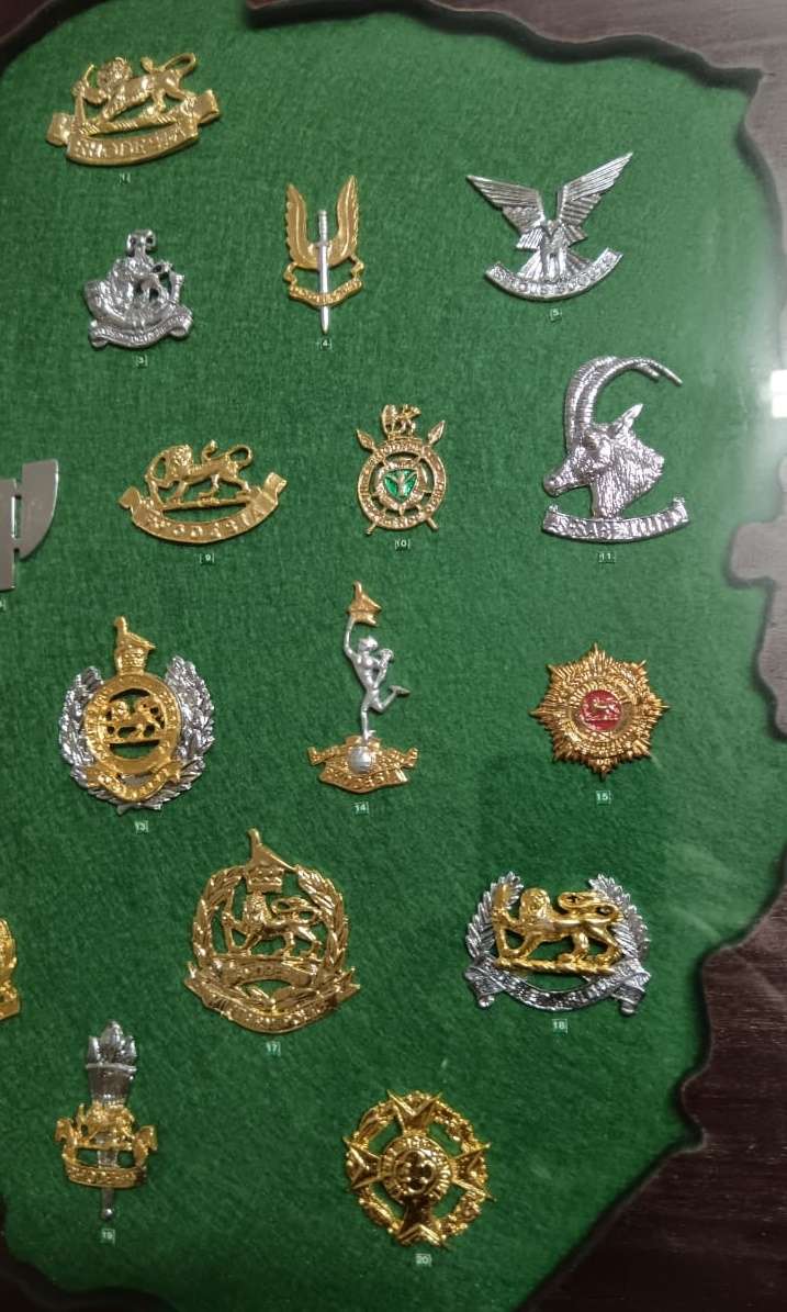 Rhodesian Security Forces Cap Badge Collection in Display Case - Numbered Set