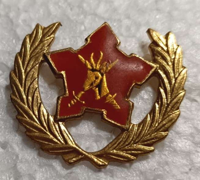 SADF - Army 5 Year Voluntary Service Breast Badge