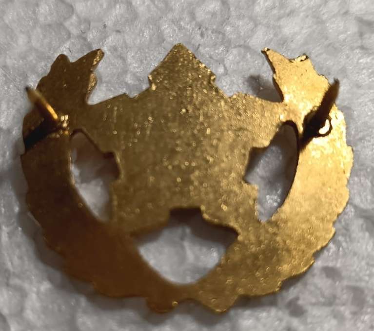 SADF - Army 5 Year Voluntary Service Breast Badge