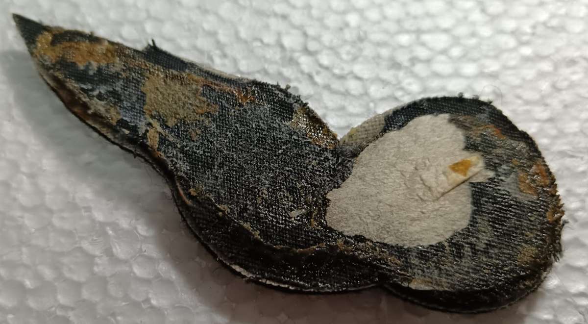 SADF - SAAF Radio Operator Wing