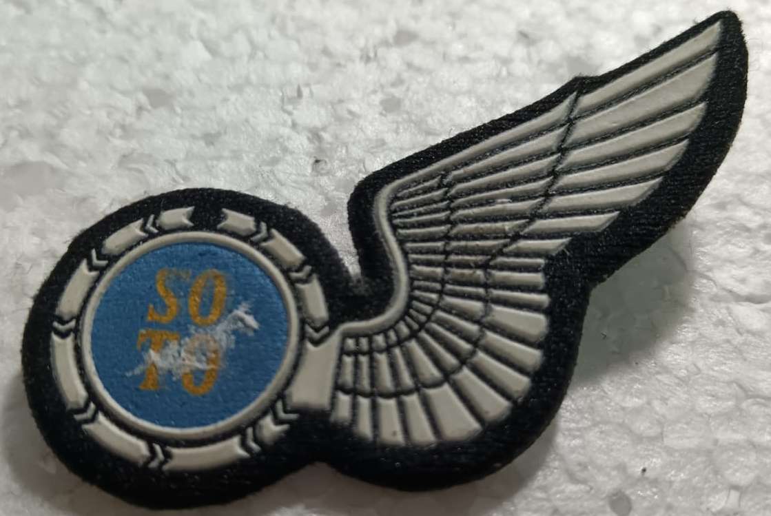 SADF - SAAF Wing