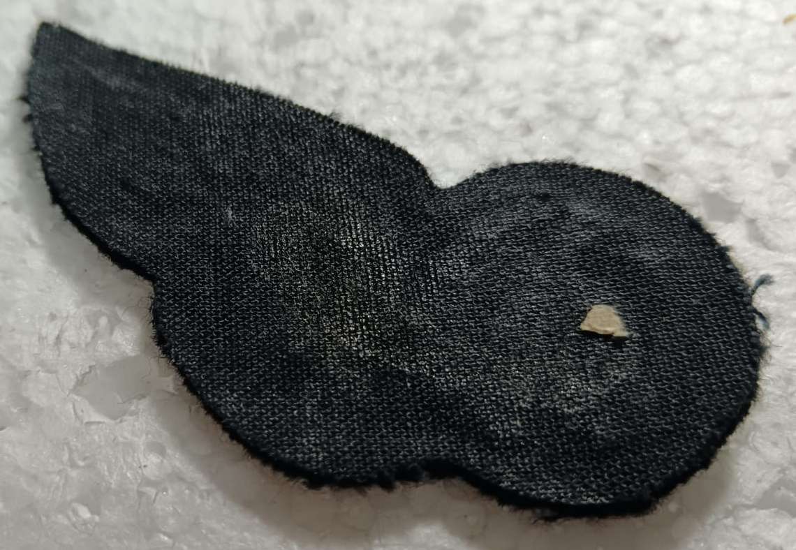 SADF - SAAF Load Master Wing