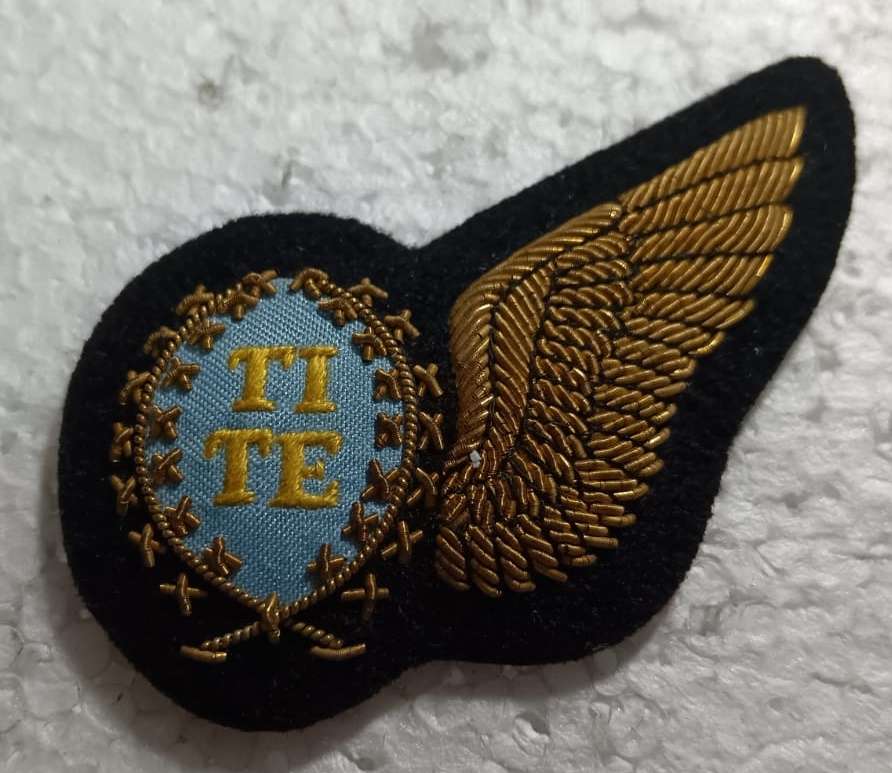 SADF - SAAF Wing ( Bullion Wire )